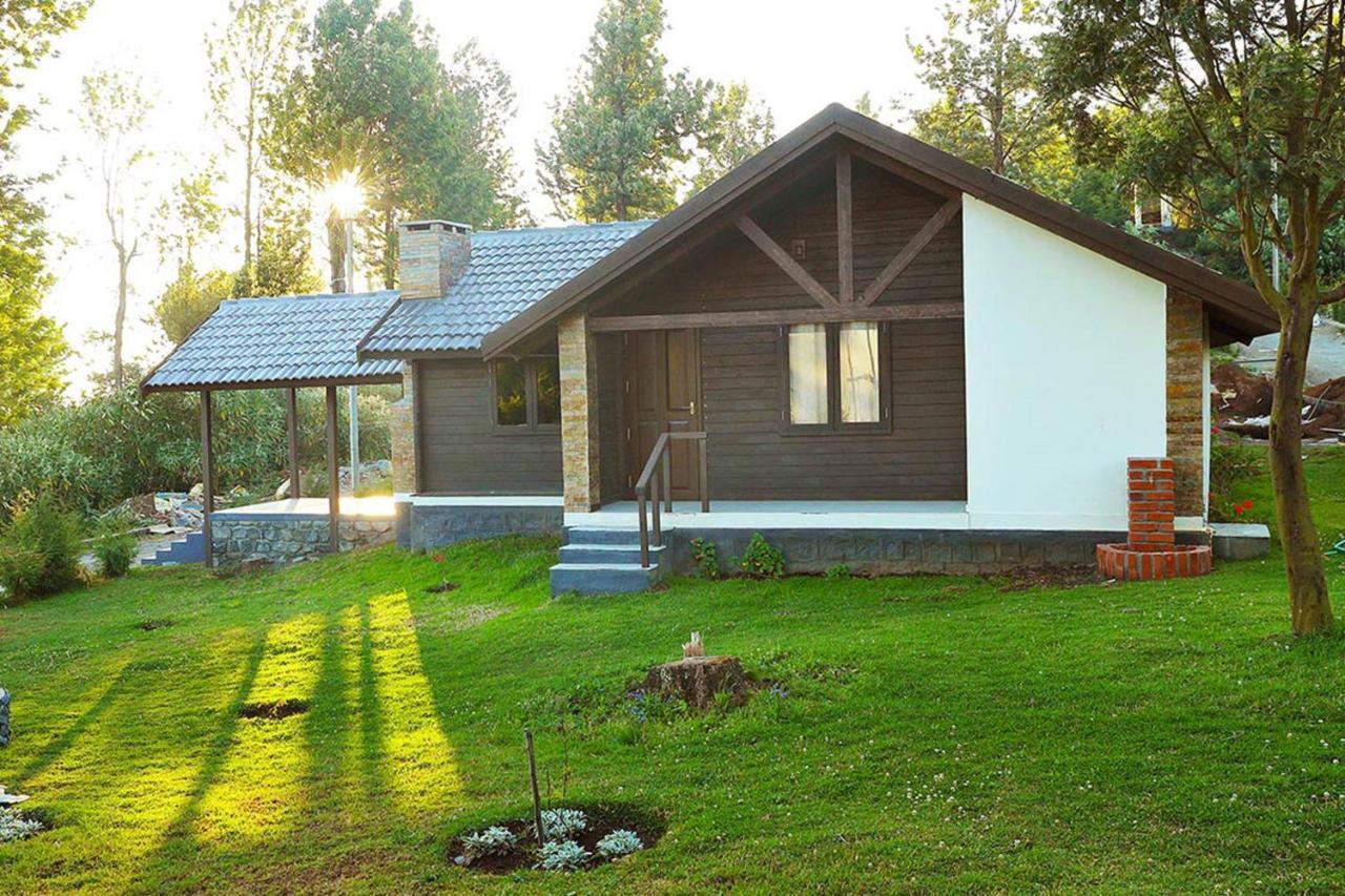 Family Bungalow,728900083:JPEG